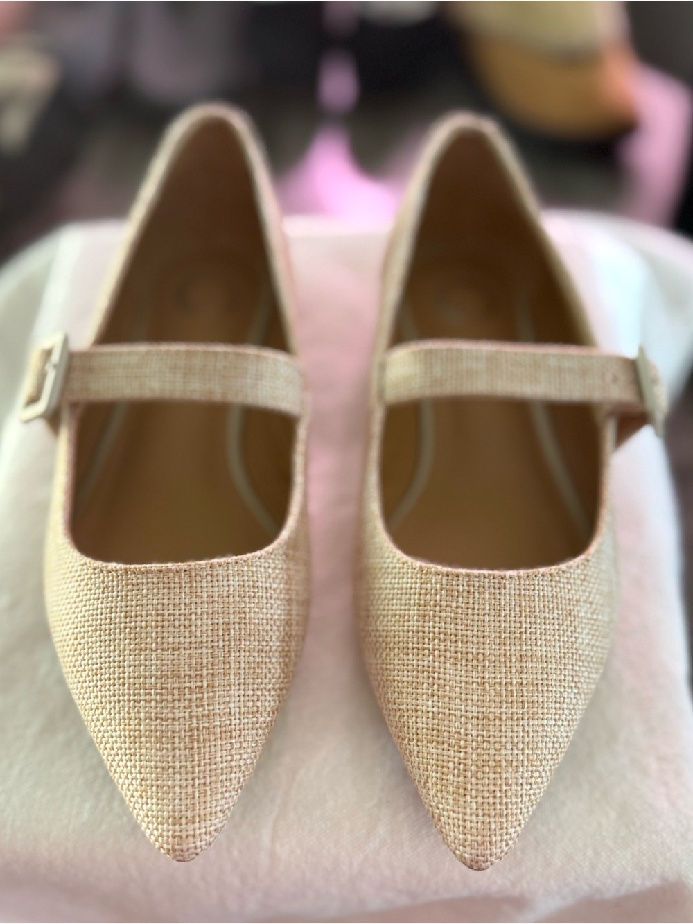 8.5 NWOB Boutique Pointed Toe Fabric Mary Jane Flats in Natural Beige